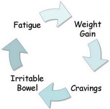Fatigue-cycle Fatigue-cycle